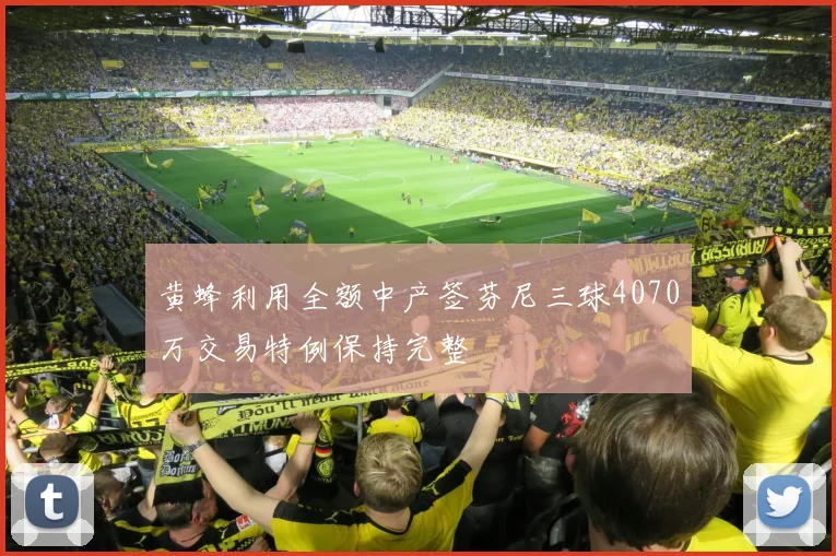 黄蜂利用全额中产签芬尼三球4070万交易特例保持完整