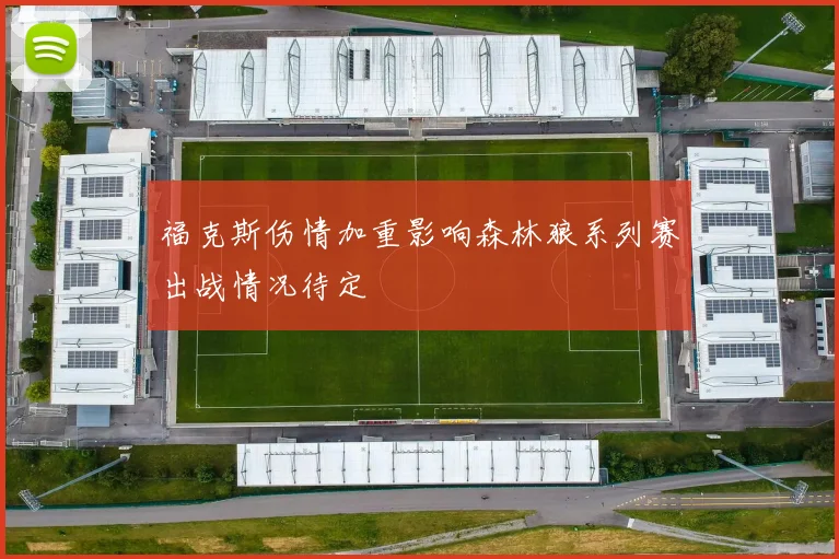 福克斯伤情加重影响森林狼系列赛出战情况待定